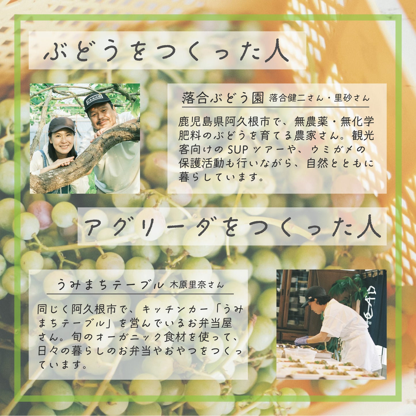 南国そだち 未熟ぶどうのアグリーダ