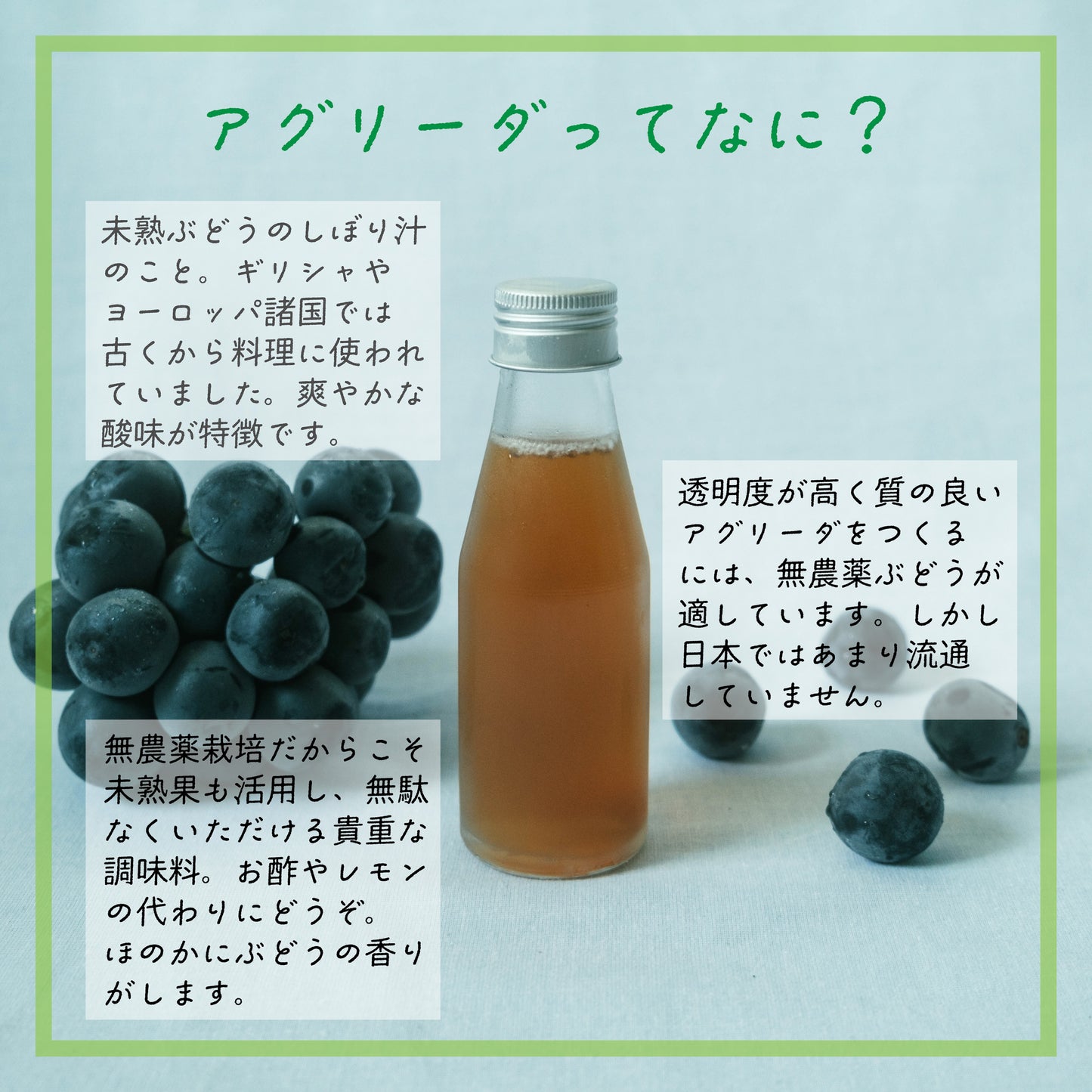 南国そだち 未熟ぶどうのアグリーダ