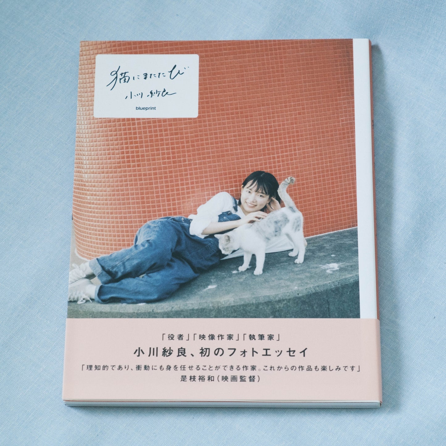 フォトエッセイ『猫にまたたび』