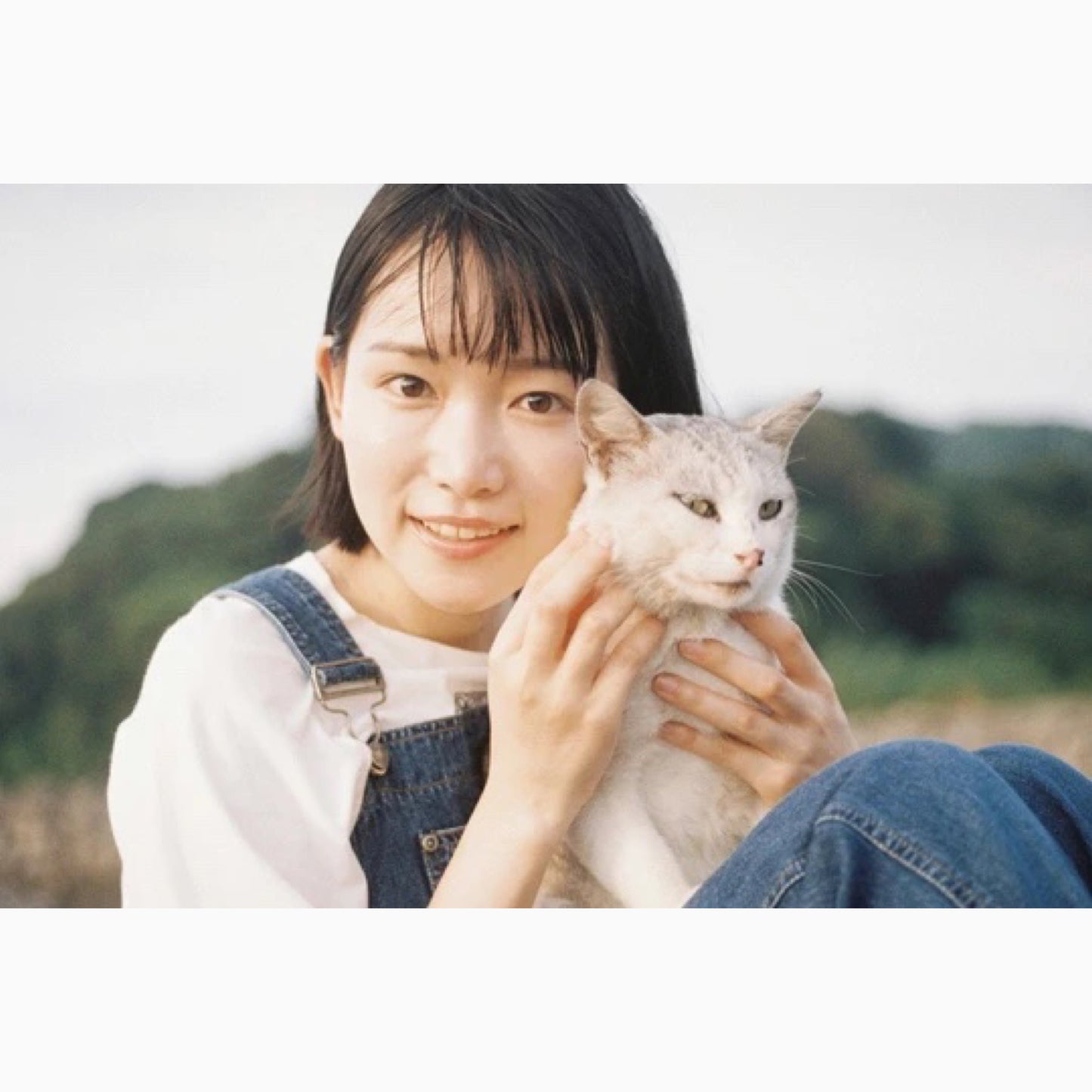 フォトエッセイ『猫にまたたび』