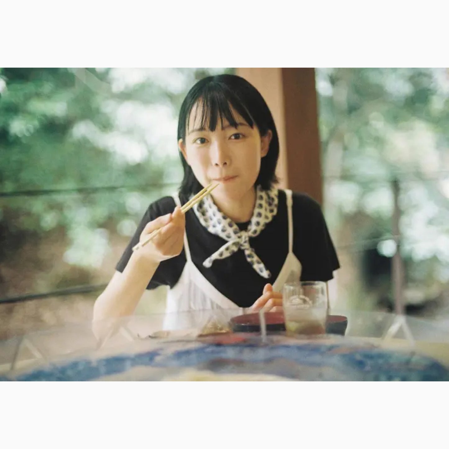 フォトエッセイ『猫にまたたび』