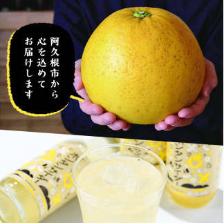 ボンタンサイダー