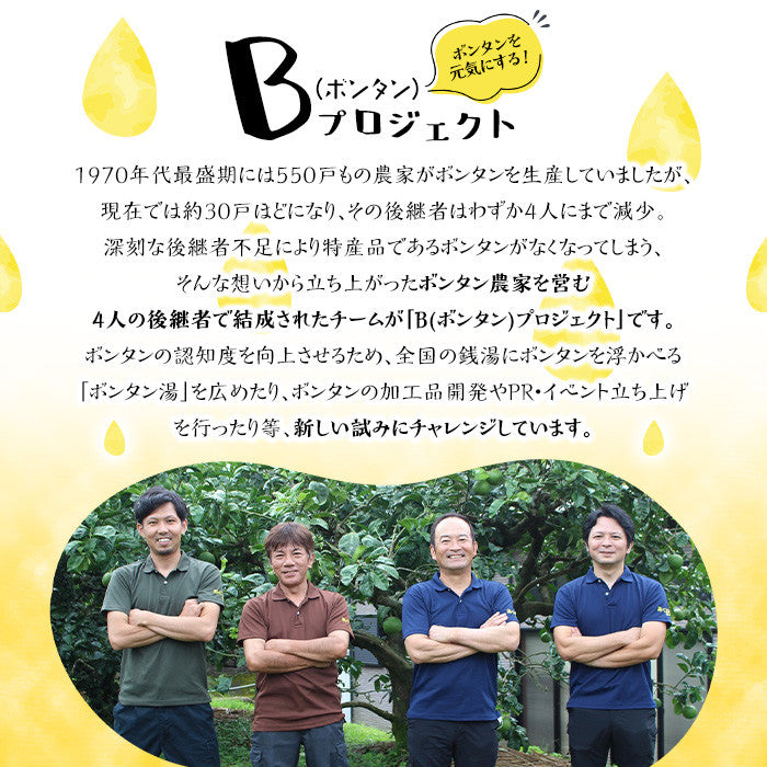 ボンタンサイダー